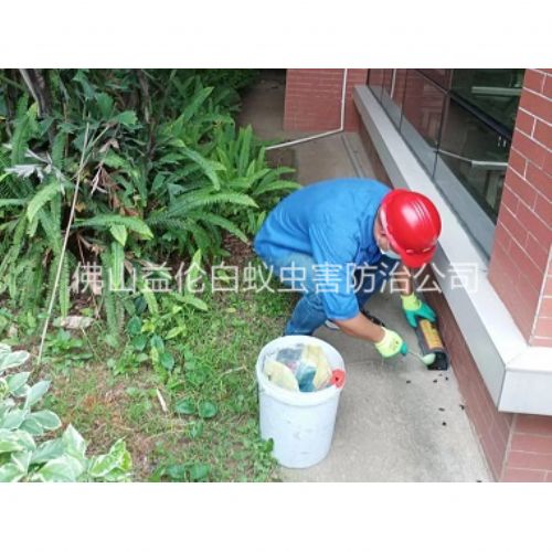 云东海施药灭鼠工程